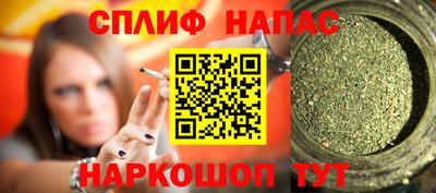 мдпв Новозыбков