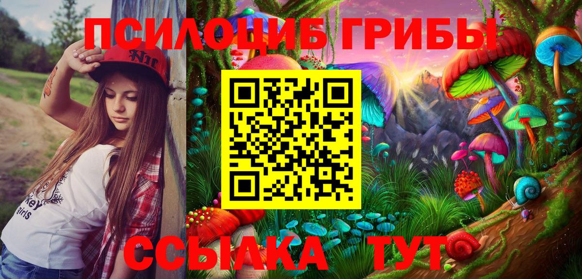 Галлюциногенные грибы Cubensis  Вход с VPN  Волхов  Псилоцибиновые грибы Psilocybe 