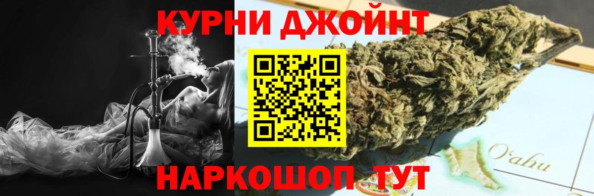 Канабис OG Kush Волхов